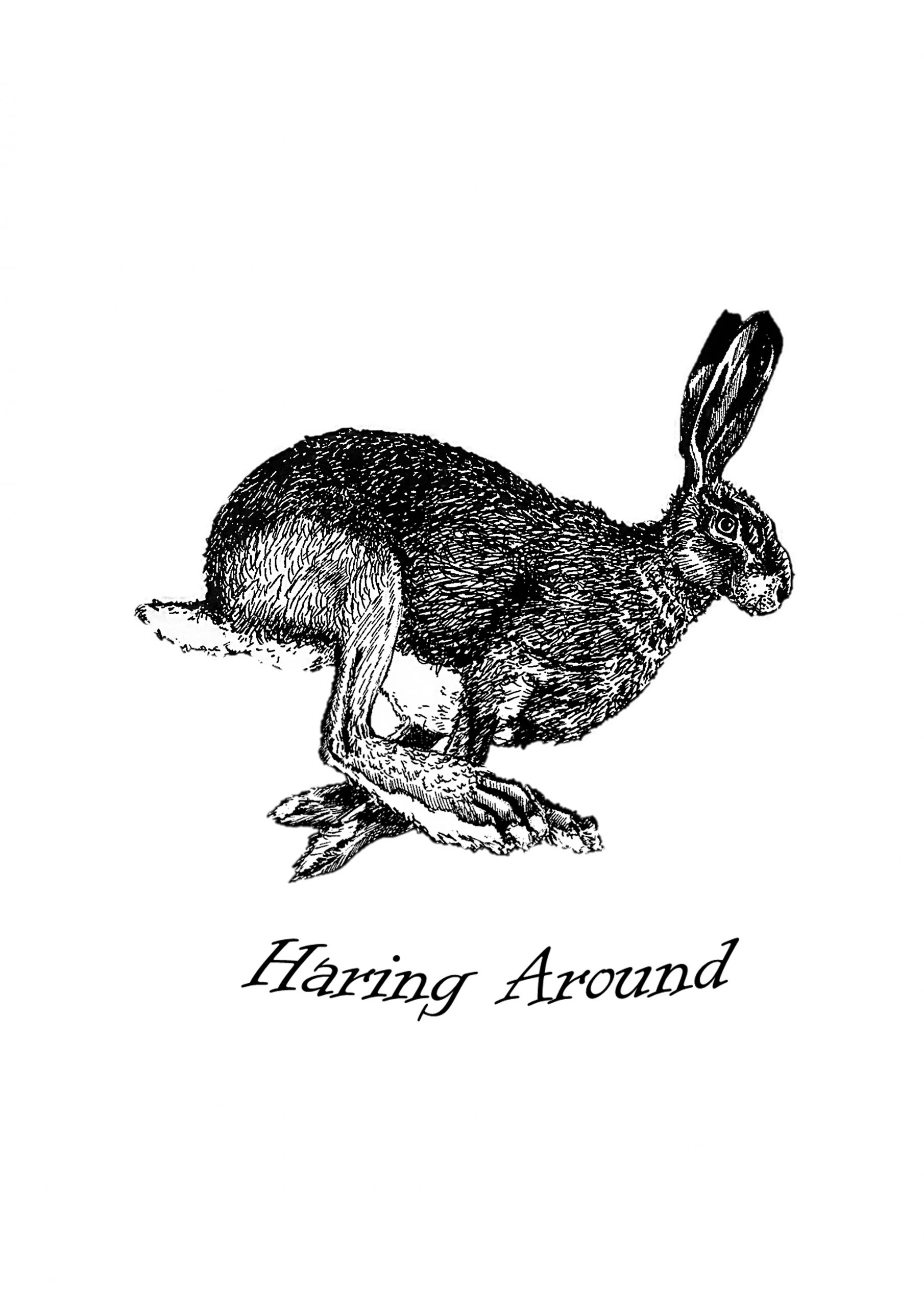 A Saunders Haring Around