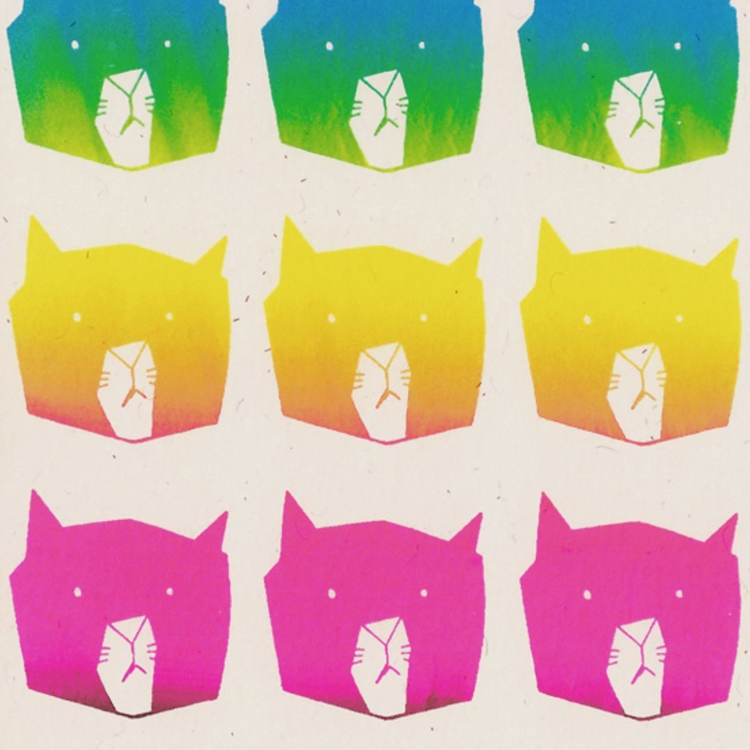 fELIS cATUS