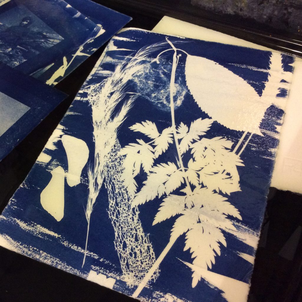 found-cyanotypes.jpg