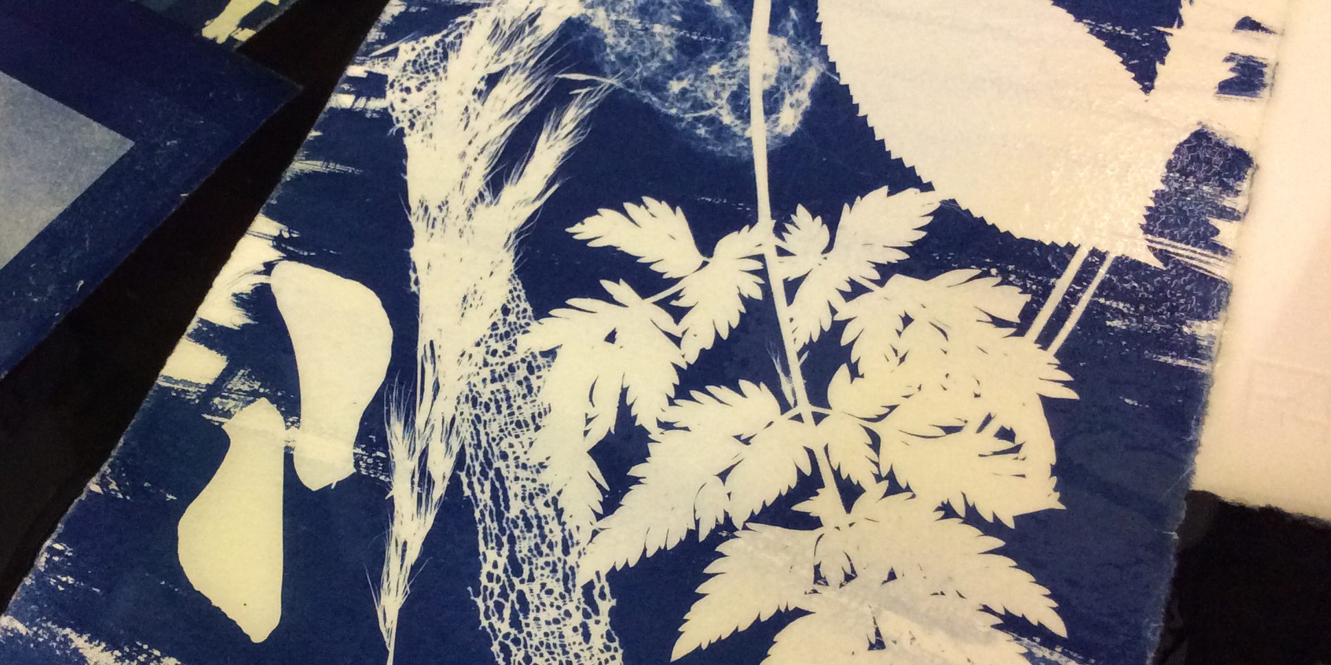 found cyanotypes